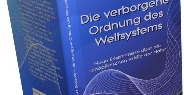 Die verborgene Ordnung des Weltsystems